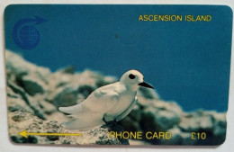 Delcampe - Ascension Island £10 GPT 3CASB - Fairy Tern - Ascension (Insel)