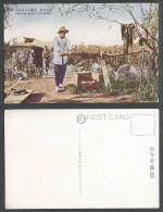 Delcampe - China Old Colour Postcard Drawing Water Of Chinese Man Well Manchuria 滿洲風俗支那人之水汲 - China