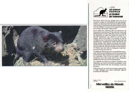 Delcampe - Image, Fiche Illustrée, Photo MERVEILLES DU MONDE De Nestlé N° 270 Les Animaux D'Australie LE DIABLE DE TASMANIE - Animali