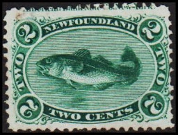 Delcampe - 1866. NEWFOUNDLAND TWO CENTS Fish. No Gum. Beautiful Stamp.  - JF512660 - 1908-1947