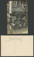 Delcampe - Singapore Old Real Photo Postcard Tapping Rubber Trees ONO II Using Dutch Method - Ohne Zuordnung