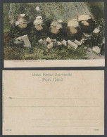 Delcampe - Hong Kong China Old Color UB Postcard Native Chinese Burial Ground Bones In Jars - China (Hongkong)