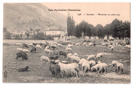 Delcampe - Laruns - Moutons Au Pâturage - Berger - édit. Royer 398 + Verso - Laruns