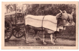 Delcampe - Guéthary - Attelage De Boeufs - édit. M.D. Marcel Delboy 218 + Verso - Guethary