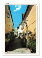 Delcampe - Elvas, Rua Típica, Rue Typique, CPSM, Portugal - Sonstige & Ohne Zuordnung