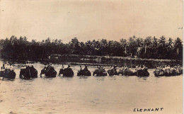 Delcampe - L410 Singapore Tanjong Pagar Elephants Crossing River Real Photo Postcard - Singapur