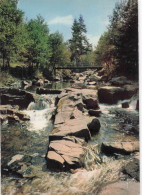 Delcampe - 59 GRANDE SYNTHE CARTE POSTALE - Grande Synthe
