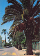 Delcampe - 83 HYERES AVENUE JOSEPH CLOTIS - Hyeres