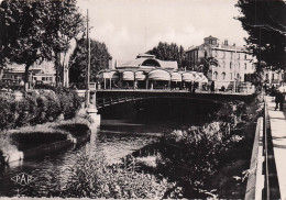 Delcampe - 66 PERPIGNAN LA BASSE ET LE PALMARIUM - Perpignan