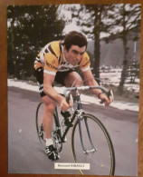 Delcampe - Bernard Hinault Renault - Ciclismo