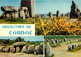 Delcampe - 56 CARNAC - Carnac