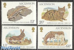 Delcampe - Ascension 1983 Imported Animals 4v, Mint NH, Nature - Animals (others & Mixed) - Cats - Horses - Rabbits / Hares - Rep.. - Ascension