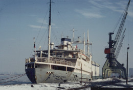 Delcampe - GALLOWAY EXPRESS Ferry Manila Postcard Size Real Photo #SDC111 - Fähren
