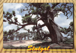 Delcampe - SENEGAL LES GARDIENS - Senegal