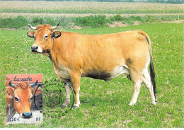 Delcampe - Carte Maximum - FRANCE - COR13364 - 24/04/2004 - La Vache  - Cachet Plesse - 2000-2009