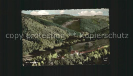 Delcampe - Eifel Region Oberes Prethtal - Loreley