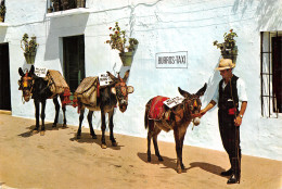 Delcampe - Espagne MIJAS COSTA DEL SOL - Málaga
