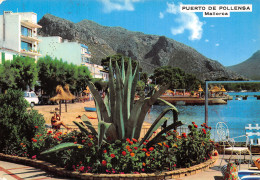 Delcampe - Espagne PUERTO DE POLLENSA MALLORCA - Mallorca