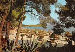 Delcampe - Espagne POLLENSA MALLORCA BALEARES - Mallorca