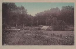 Delcampe - 88 MONTHUREUX SUR SAONE LES SAPINS - Monthureux Sur Saone