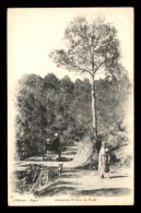 Delcampe - ALGERIE - HAMMAM-R'HIRA - LA FORET - EDITEUR GEISER - Sonstige & Ohne Zuordnung