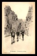 Delcampe - ALGERIE - EL-KANTARA - PASSAGE DE LA GORGE - CHAMEAUX - EDITEUR GEISER - Sonstige & Ohne Zuordnung