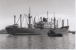 Delcampe - Ship RONDO 1946 Cargo Ship Unposted #SEN137 - Handel