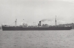 Delcampe - Cargo Ship Oregon Star 22 1922 Postcard Size Real Photo #SES348 - Handel