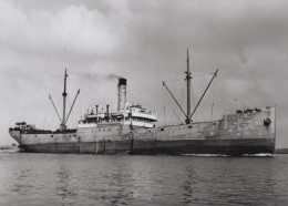 Delcampe - Cargo Ship Schip SAARD Postcard Size Real Photo #SEU316 - Handel