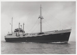 Delcampe - Cargo Ship TARAS Postcard Size Real Photo #SEU094 - Handel