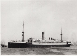 Delcampe - Steamer Ss Koningin Der Nederlanden 1922 Postcard Size Real Photo #SEU638 - Dampfer