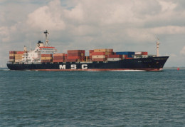 Delcampe - Cargo Ship MSC GIULIA Postcard Size Real Photo #SEV929 - Handel