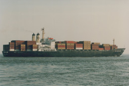 Delcampe - Cargo Ship MSC MARIA LAURA Postcard Size Real Photo #SEW318 - Handel