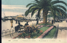 Delcampe - Cannes - Cannes