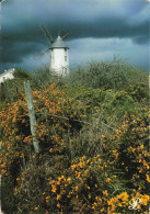 Delcampe - 44 GUERANDE LE MOULIN DU DIABLE - Guérande