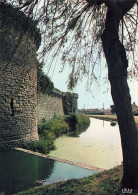 Delcampe - 44 GUERANDE LES REMPARTS - Guérande