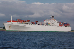 Delcampe - Cargo Ship S A WINTERBERG Postcard Size Real Photo #SEX024 - Handel