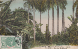 Delcampe - DAKAR        Sénegal     Jardin De Hann  TB   PLAN 1913.  V Timbre      RARE - Senegal