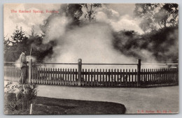 Delcampe - The Rachael Spring Rotorua Carte Postale Postcard - Neuseeland