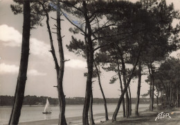 Delcampe - 40 HOSSEGOR LE LAC - Hossegor