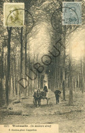 Delcampe - Postkaart/Carte Postale - Westmalle - De Donkere Dreef (C8986) - Malle