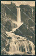 Delcampe - Terni Città Cascata Delle Marmore Cartolina XB4478 - Terni