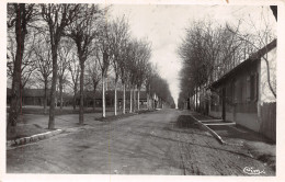 Delcampe - 18-AVORD-CAMP, AVENUE DE BOURGES-N°2541-F/0125 - Avord