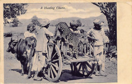 Delcampe - India - A Hunting Cheeta - India